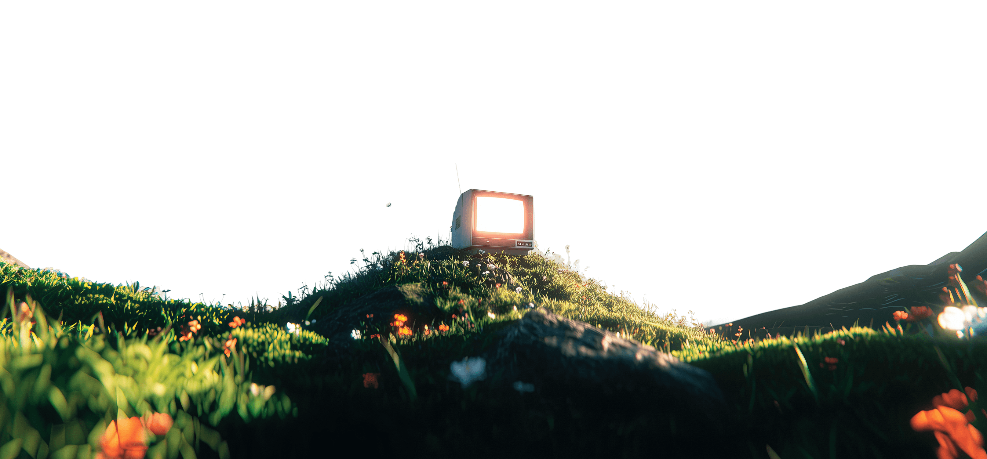 A retro television glowing on a wildflower hill at golden hour